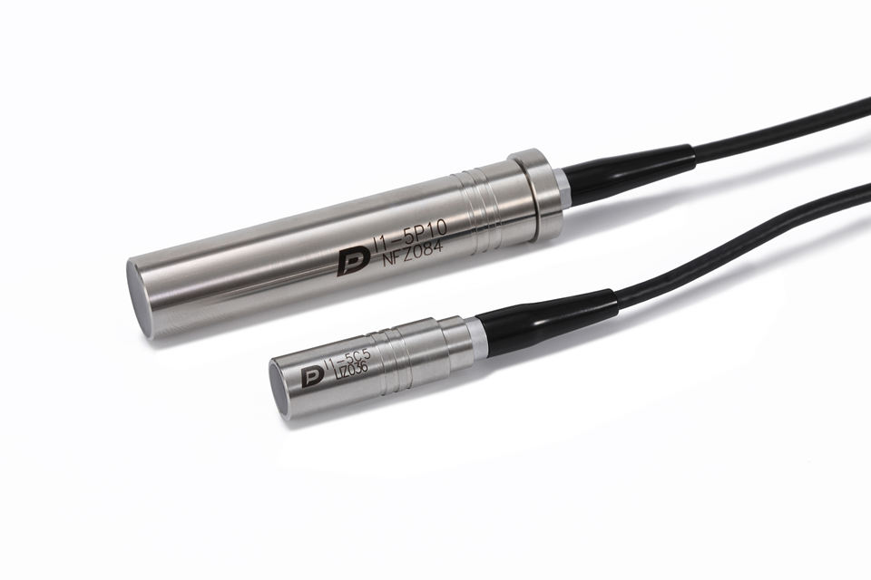 Immersion Probes